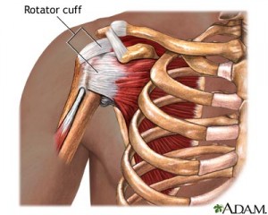 rotator-cuff-repair-normal-anatomy-picture Tacoma injury lawyer
