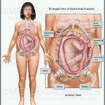 Pregnancy Injuries Car Accident